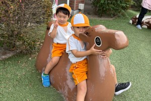 IMG_0385